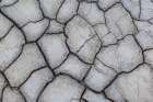 Romania, , Berca. Geological, botanical reservation Vulcanii Noroiosi de la Paclele Mici. Art Print